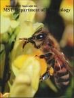 cover-MSU-entomology100year